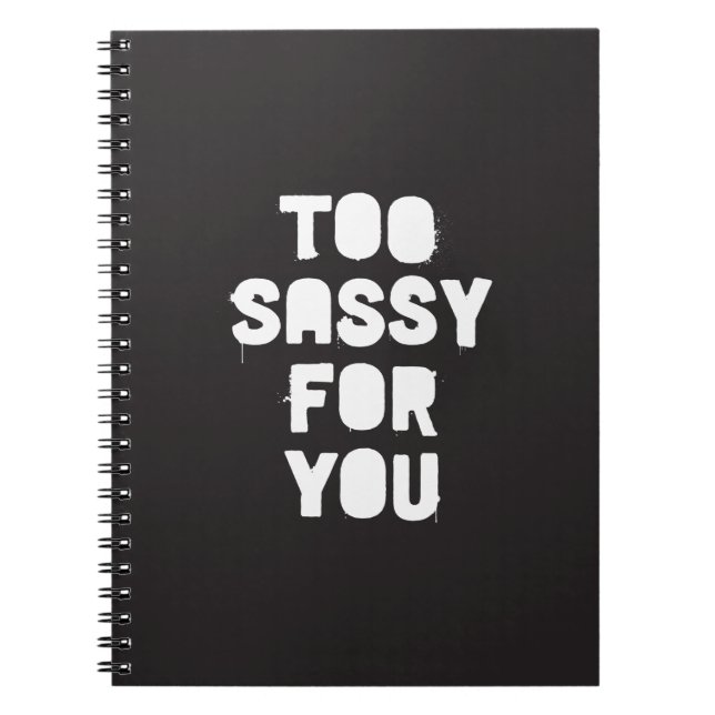 Carnet Trop impertinent pour vous (Devant)