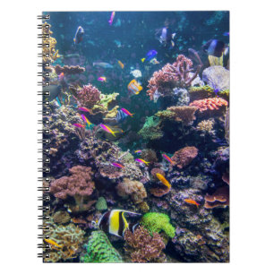 Carnet Tropical Beaches   Underwater Coral Reef
