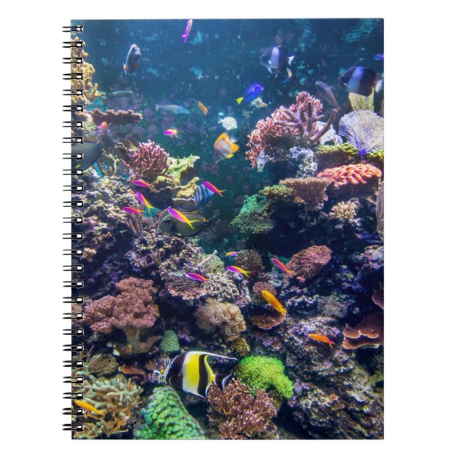 Carnet Tropical Beaches | Underwater Coral Reef (Devant)