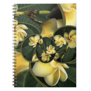 Carnet tropical de page de la conception 80 de