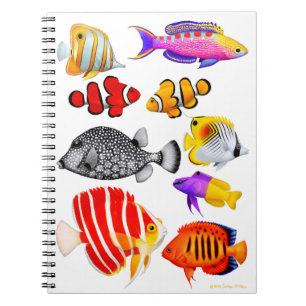 Carnet tropical de poissons de récif d'eau de mer