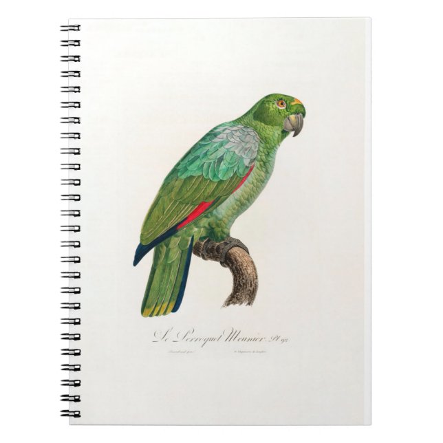 Carnet tropical macaw parrot (Devant)