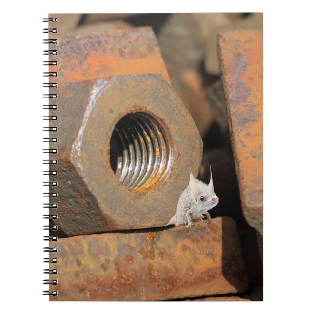 Carnet Trou de boulon extraterrestre (Devant)