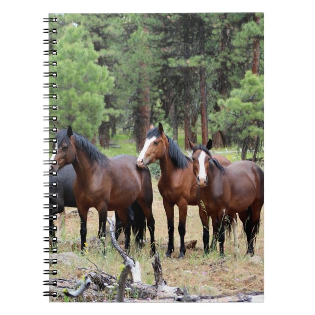 Carnet Troupeau de chevaux sauvages (Devant)