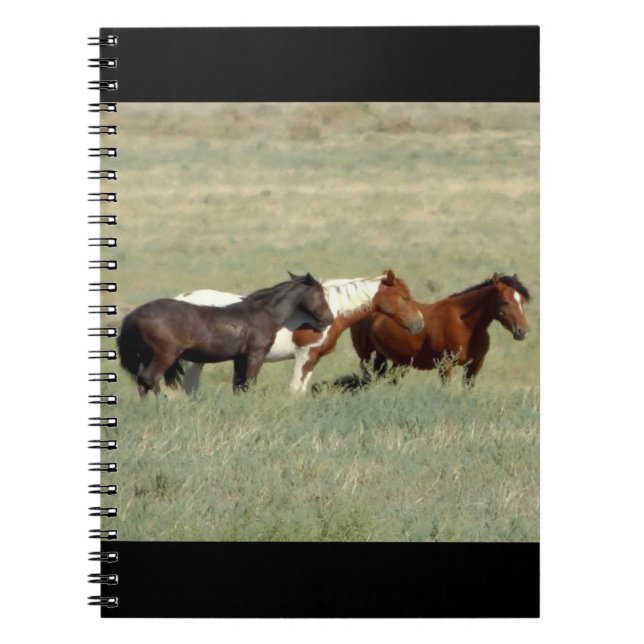 Carnet Troupeau de chevaux sauvages (Devant)