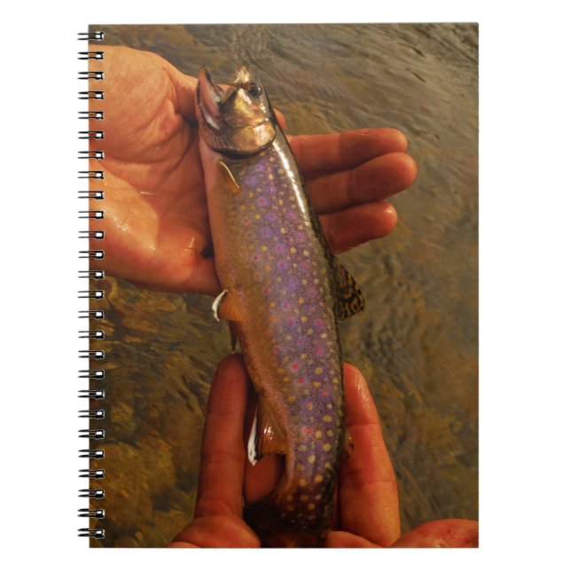 Carnet Trout à Hands (Devant)