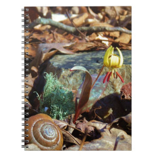 Carnet Truite jaune et prune Lily et Coquille d'escargot