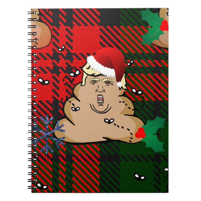 Carnet trump à la décharge de noël (Devant)