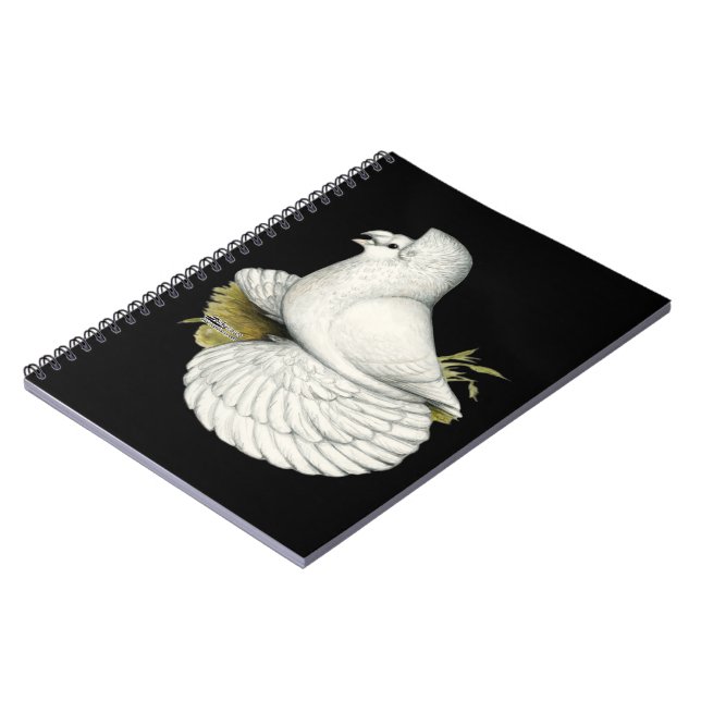 Carnet Trumpeter Pigeon White (Côté gauche)