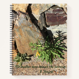 Carnet Tucson-Mt Lemmon