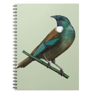 Carnet Tui New Zealands Bird
