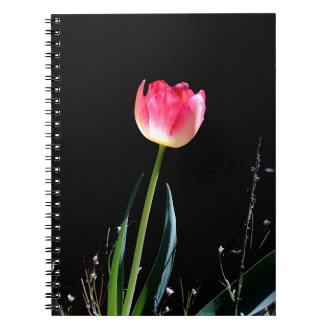 Carnet Tuliforme de printemps (Devant)