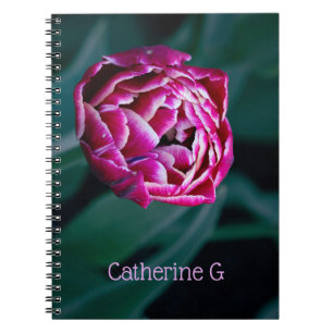 Carnet Tulip rose moisi