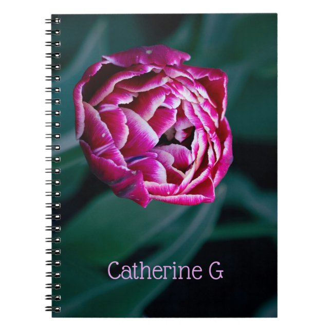 Carnet Tulip rose moisi (Devant)
