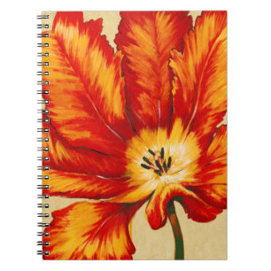 Carnet Tulipe de perroquet II