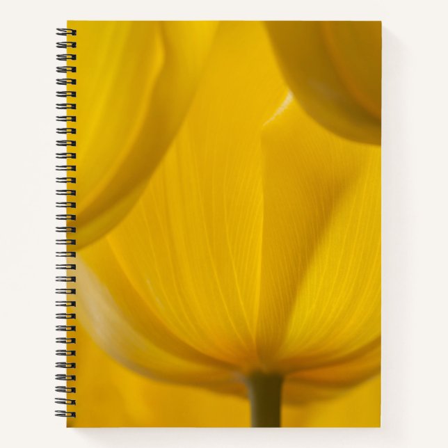 Carnet Tulipe jaune (Devant)