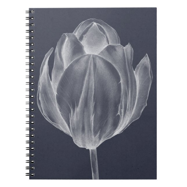 Carnet Tulipe monochrome I (Devant)