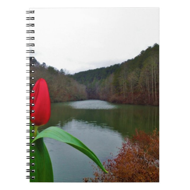 Carnet Tulipe rouge printanière au lac Arrowhead (Devant)