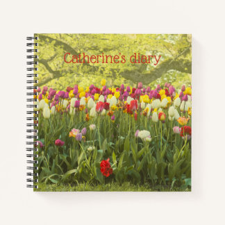 Carnet Tulipes colorées dans un parc personnalisé