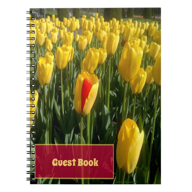 Carnet Tulipes jaunes (Devant)