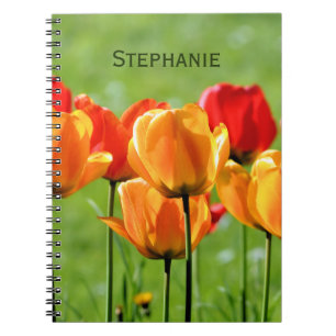 Carnet Tulipes jaunes et rouges