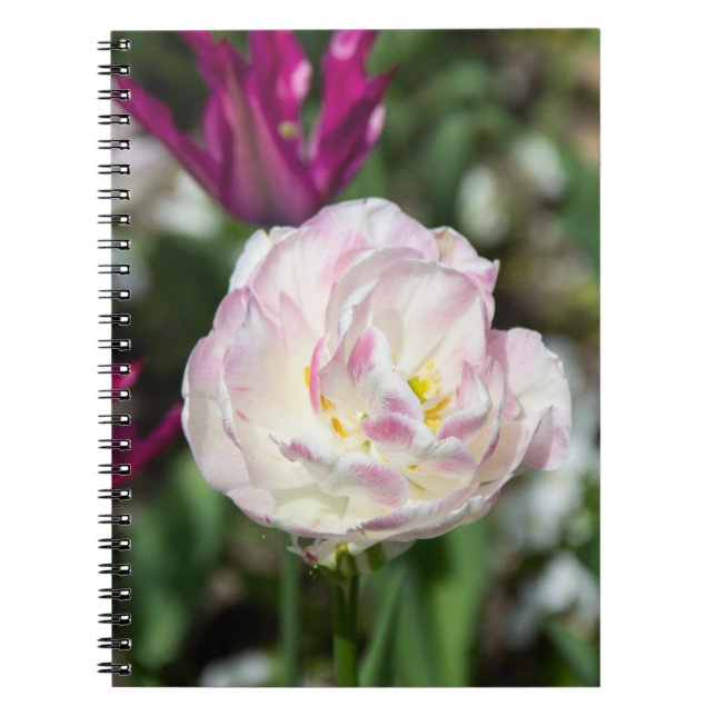 Carnet Tulipes rose vif par jour ensoleillé (Devant)