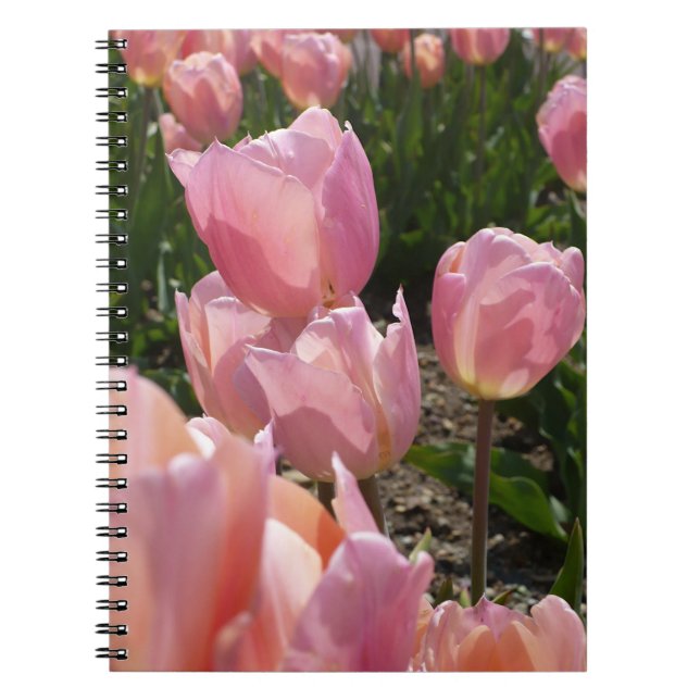 Carnet Tulipes roses (Devant)