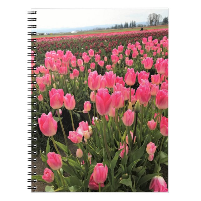 Carnet Tulipes roses et rouges dans un champ, Oregon (Devant)