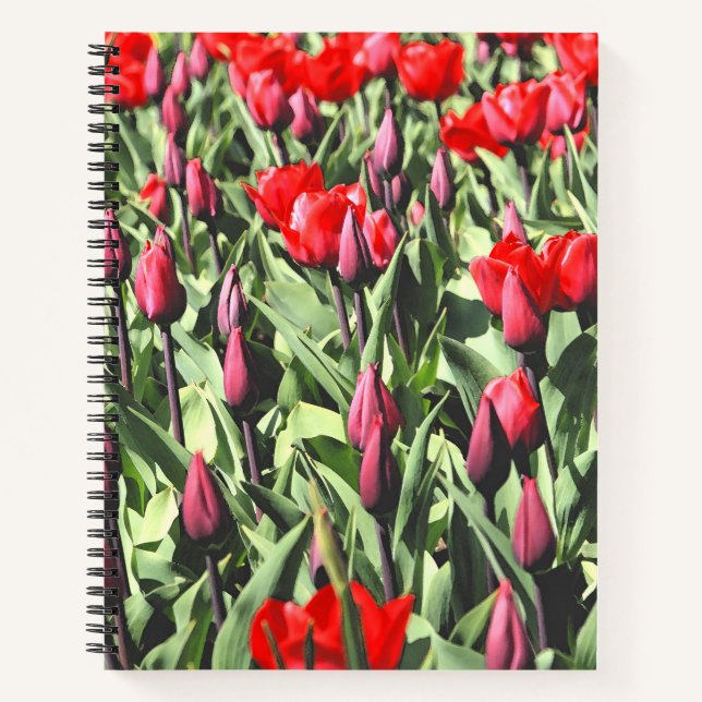 Carnet Tulipes rouges (Devant)