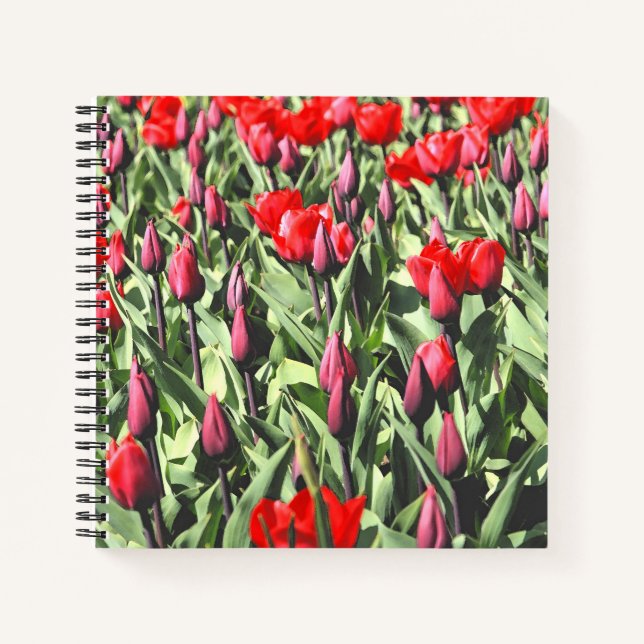 Carnet Tulipes rouges (Devant)