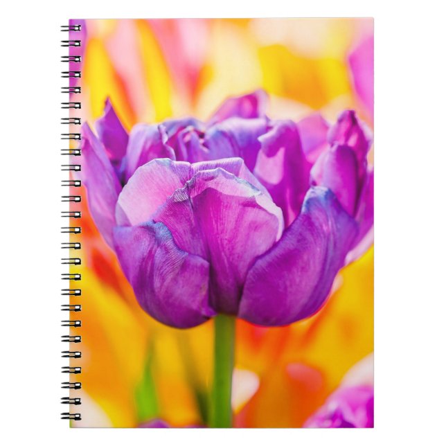 Carnet Tulips Enchanting 06 (Devant)