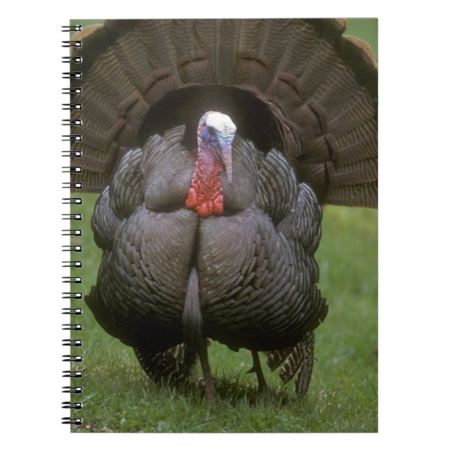 Carnet Turkey (Devant)
