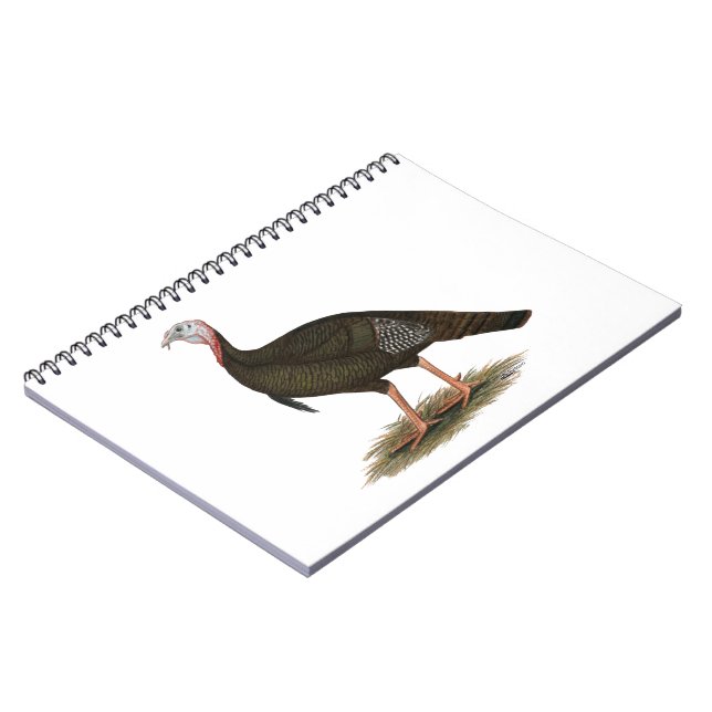 Carnet Turkey:  Eastern Wild Tom (Côté gauche)