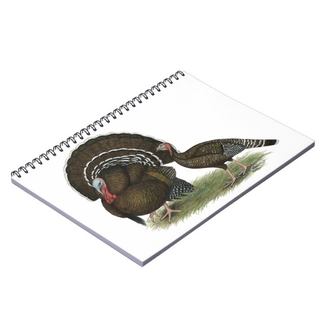 Carnet Turkey Standard Bronze (Côté gauche)