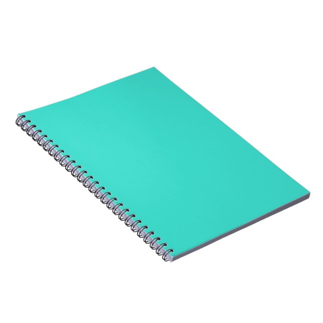 Carnet Turquoise (Côté Droit)