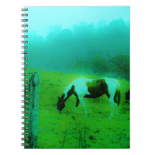 Carnet Turquoise brouillard Reto colorié poney peint Chev