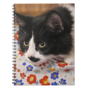 Carnet Tuxedo
