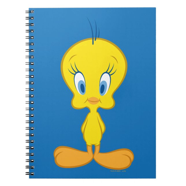 Carnet TWEETY | Innocent Little Bird (Devant)