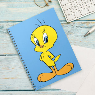 Carnet TWEETY™ Oiseau malin