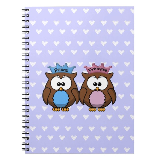 Carnet twin owl princess (Devant)