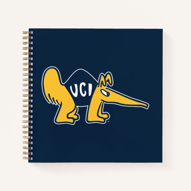 Carnet UC Irvine | Anteaters UCI (Devant)