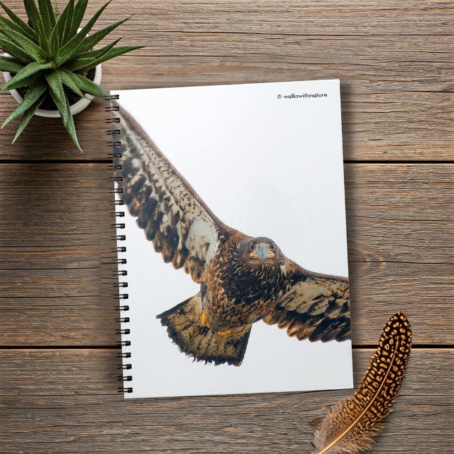 Carnet Un aigle à tête blanche étonnant fait un survol (Stunning Bald Eagle Does a Flyover Journal Cover Photo)