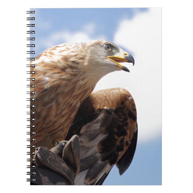 Carnet Un aigle d'or majestueux (Devant)