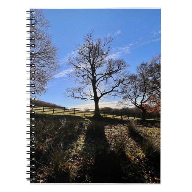 Carnet Un arbre solitaire.. (Devant)