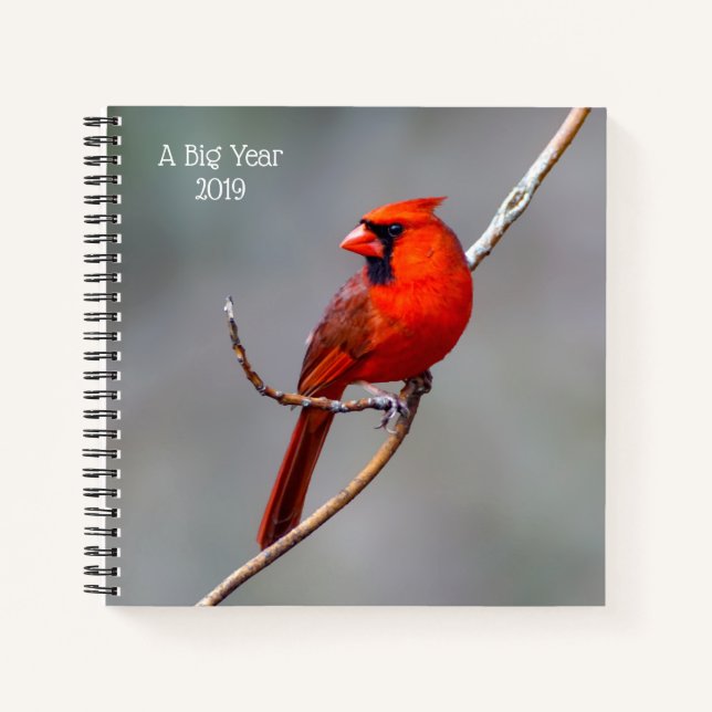Carnet Un Cardinal Spiral Notebook, un grand anniversaire (Devant)