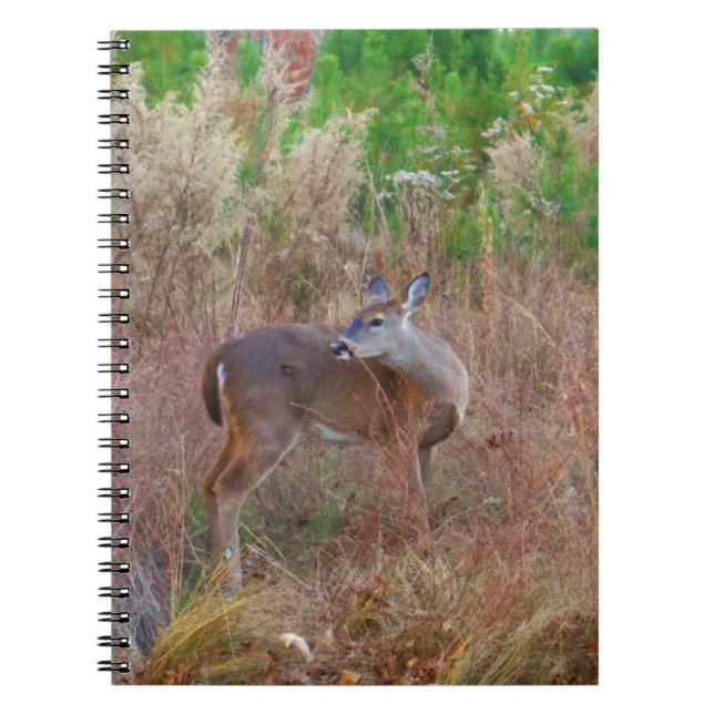 Carnet Un cerf dans l'herbe haute (Devant)