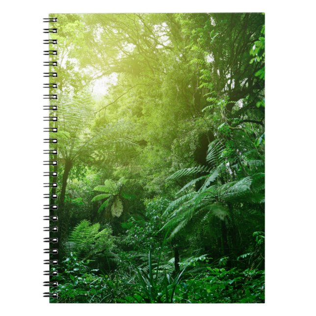 Carnet Un couvert d'arbres illuminé dans la jungle tropic (Devant)