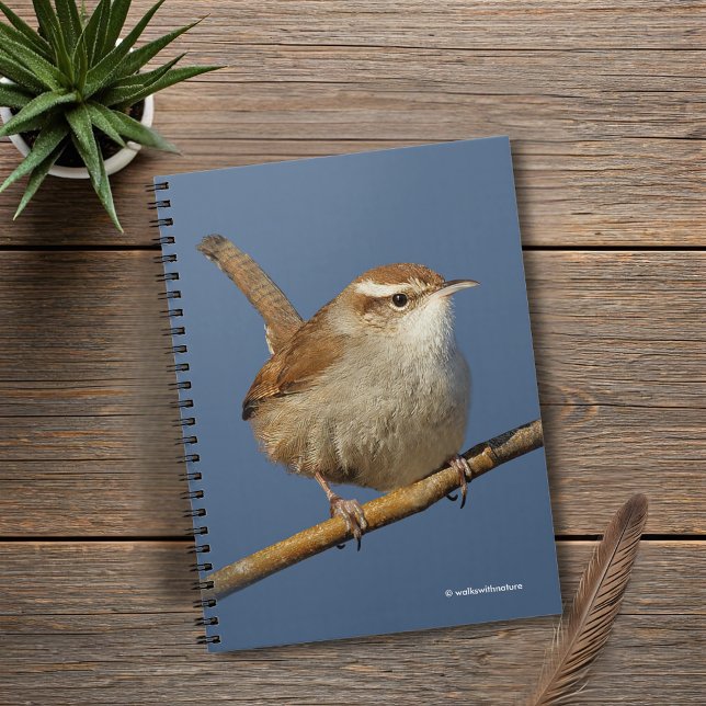 Carnet Un curieux Wren de Bewick's Wren dans l'arbre (Curious Bewick's Wren on a Branch Journal Cover Photo)