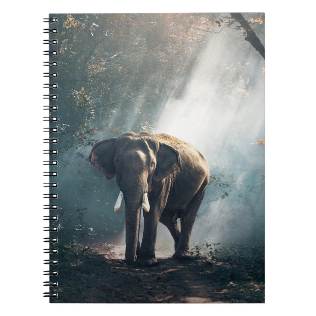 Carnet Un éléphant asiatique dans un défrichement éclairé (Devant)