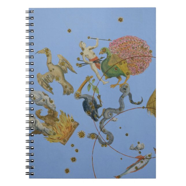 Carnet Un groupe de constellations de "Uranometria" par (Devant)